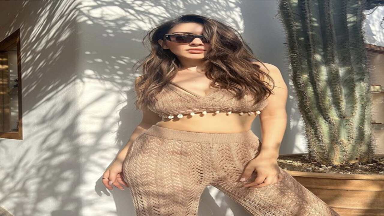 Hansika Motwani looks lovely in crochet brown crop top and pants as she vacations in Dubai