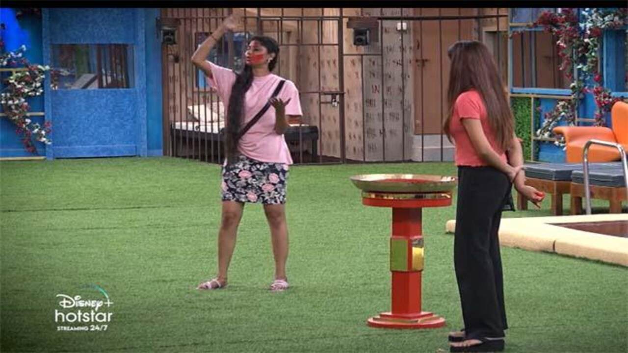 Bigg Boss Telugu Season 6 Nominations: These Contestants in Danger Zone
