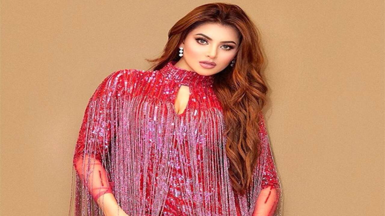 Urvashi Rautela to do a dance number in the Waltair Veerayya with megastar Chiranjeevi in a song composed by DSP