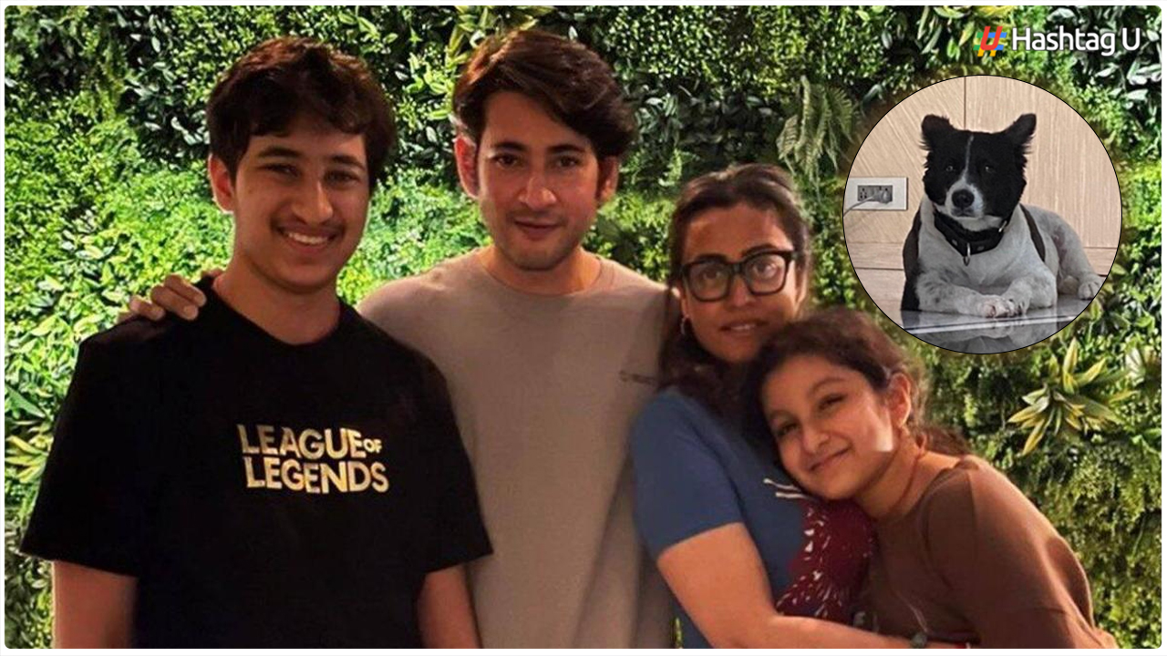 Mahesh Babu Expresses Grief Over Pluto’s Demise, Daughter Sitara’s Heartfelt Posts Melt Hearts