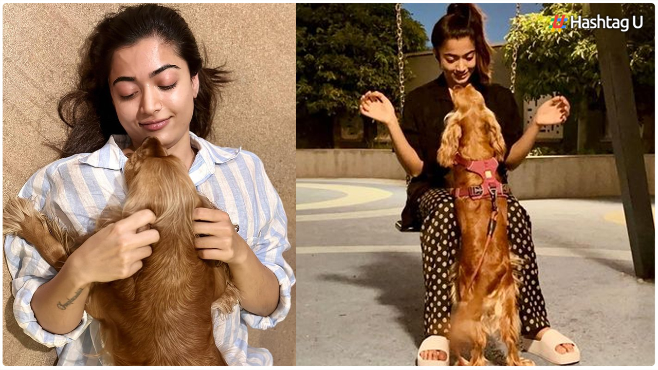 Rashmika Mandanna and Her Unbreakable Bond with Beloved Dog, Aura