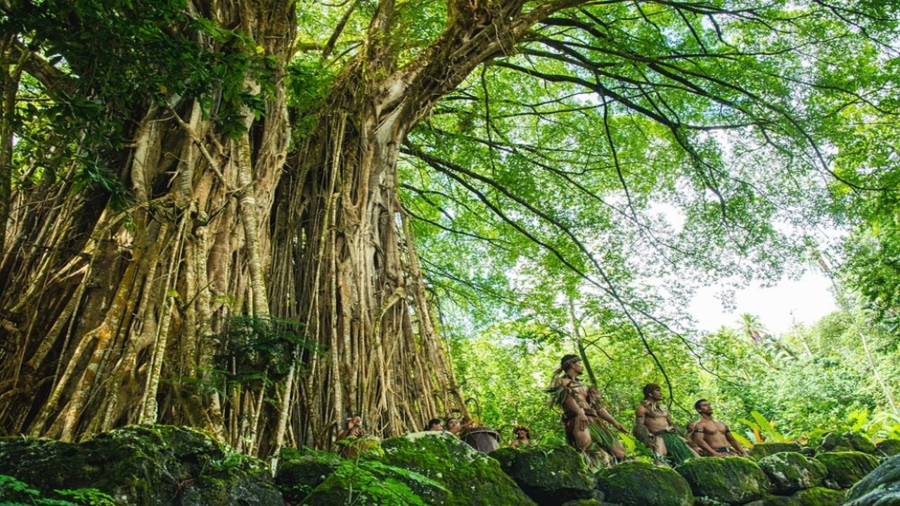 The Majestic Banyan Tree: A Living Legend of Andhra Pradesh